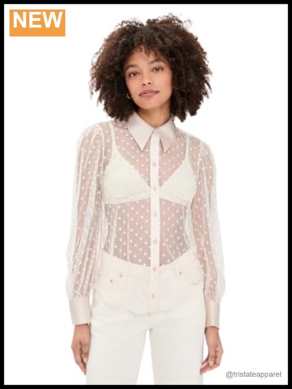 L'AGENCE Sophie Sheer Long Sleeve Blouse Swiss Dot Tulle